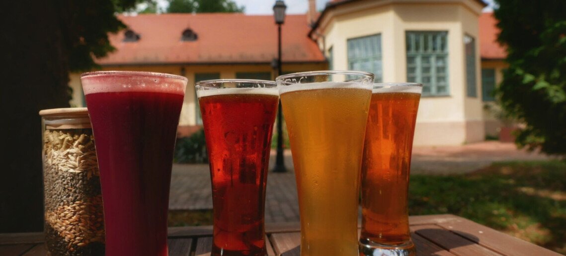 Elixbeer Kastély Sörház és Vendégház Gyula - 17