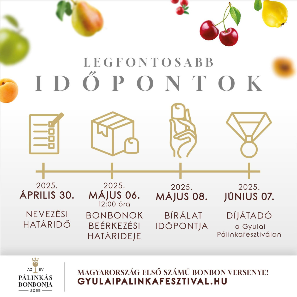 480702958_122190185984119847_2041130645194674335_n