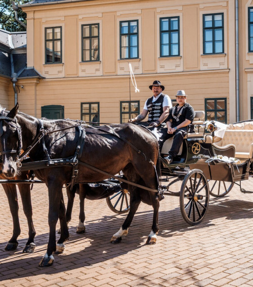 A gyulaiaknak is jó program a sétakocsikázás!