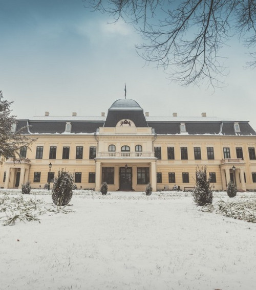 Az Almásy-kastély fedélszéke