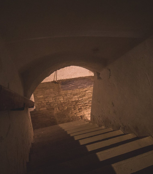 Pincetárlat – Az Almásy-kastély kincsei