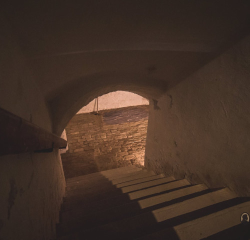 Pincetárlat – Az Almásy-kastély kincsei