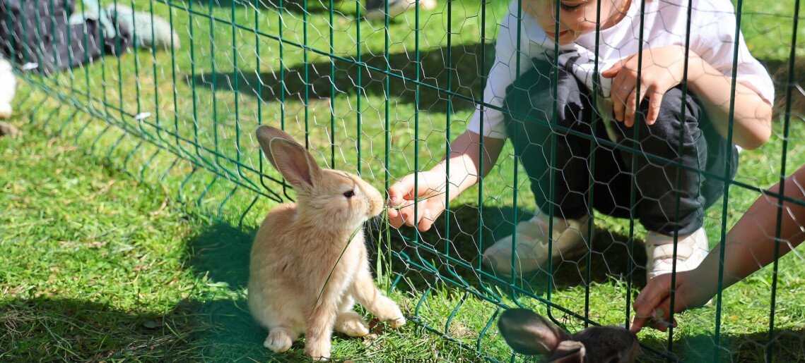Almásy-kastély Látogatóközpont: ​Húsvét és tavaszi szünet a kastélyparkban