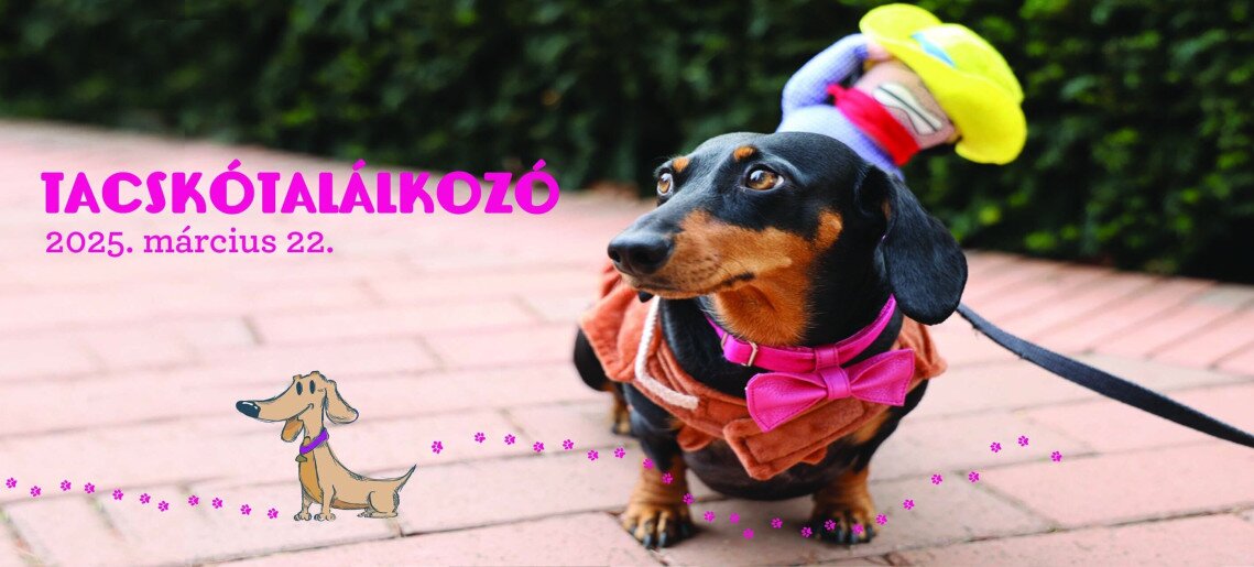 Almásy-kastély Látogatóközpont: Tacskótalálkozó 2025