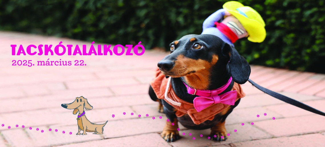 Almásy-kastély Látogatóközpont: Tacskótalálkozó 2025