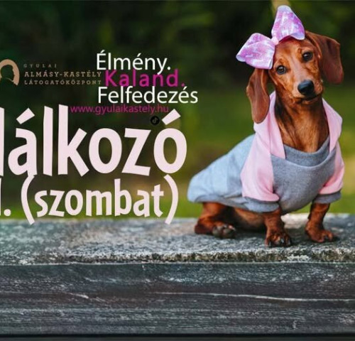 Almásy-kastély Látogatóközpont: Tacskótalálkozó 2026