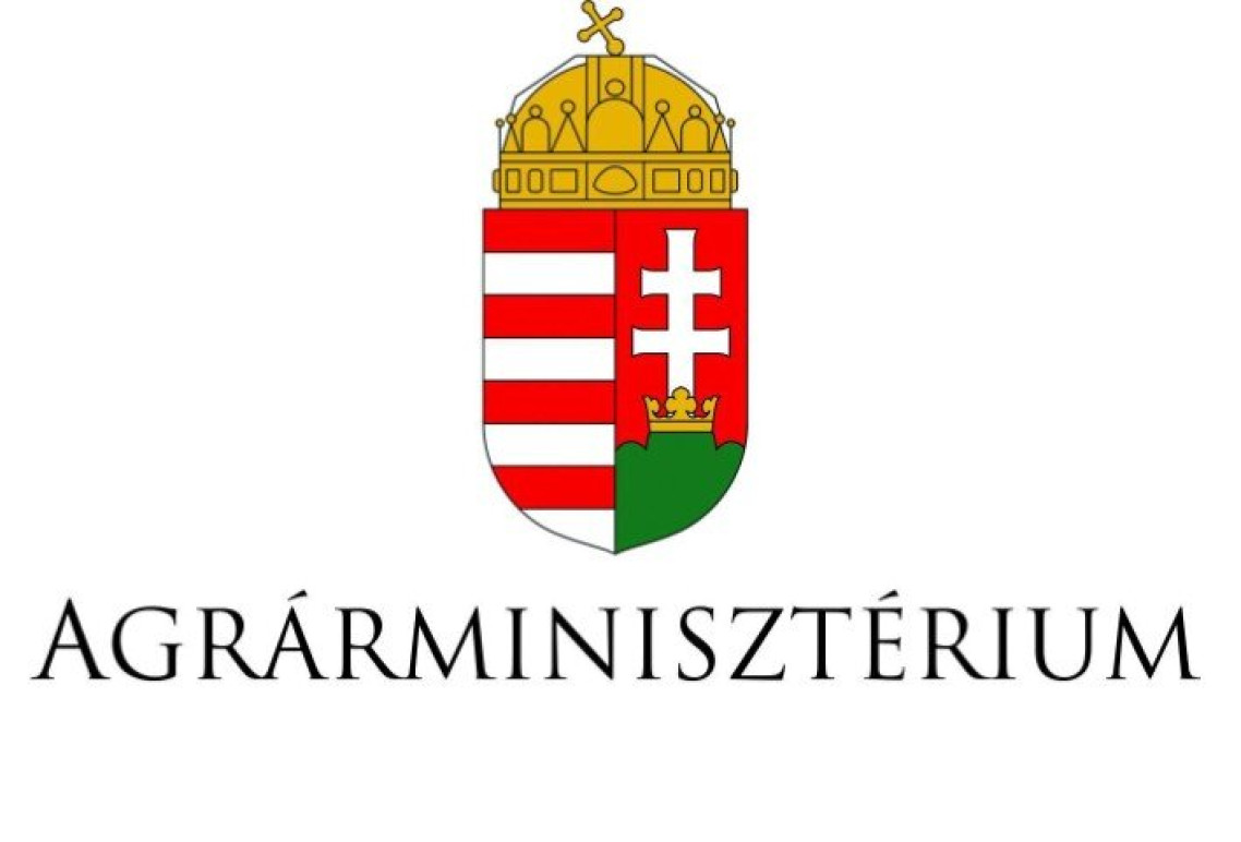 am_logo_szines