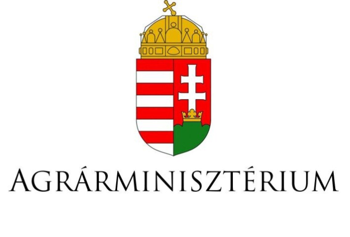 am_logo_szines