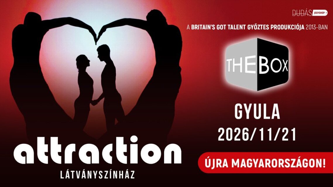 attraction_20261121