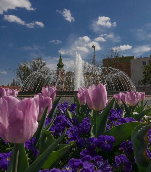 Belvárosi barangoló - városnéző séta márciusban