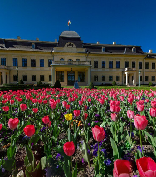 Belvárosi barangoló - városnéző séta tavasszal