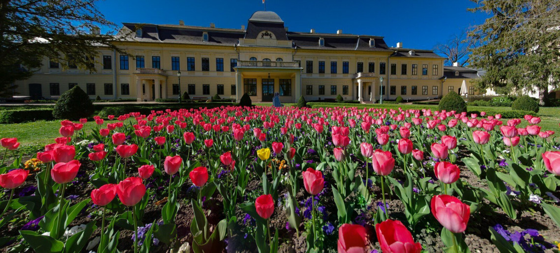 Belvárosi barangoló - városnéző séta tavasszal