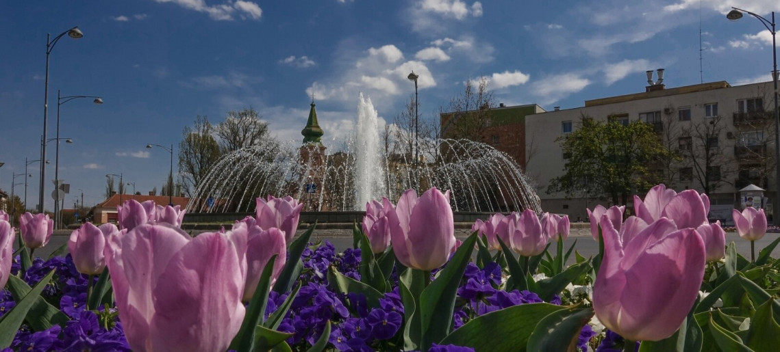 Belvárosi barangoló - városnéző séta márciusban