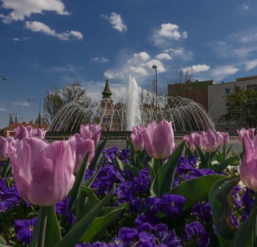 Belvárosi barangoló - városnéző séta márciusban