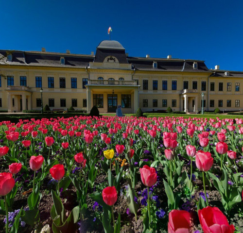 Belvárosi barangoló - városnéző séta tavasszal