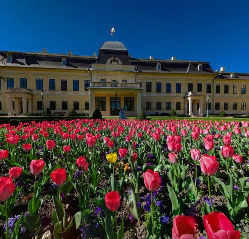 Belvárosi barangoló - városnéző séta tavasszal