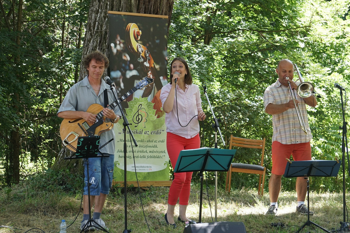 Bolba_va_s_a_Jazzterlnc_fot_Kalcsi_Ren.JPG