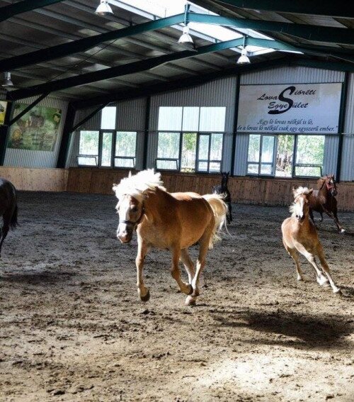 Centrul Equestru Sióréti