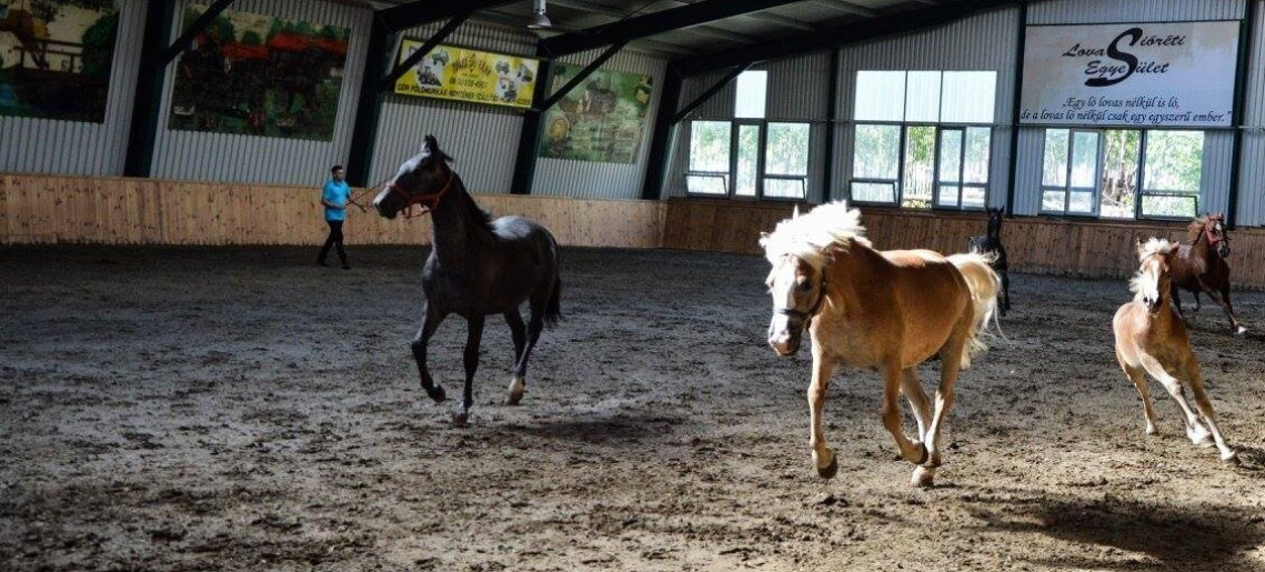Centrul Equestru Sióréti (Sióréti Lovasközpont)