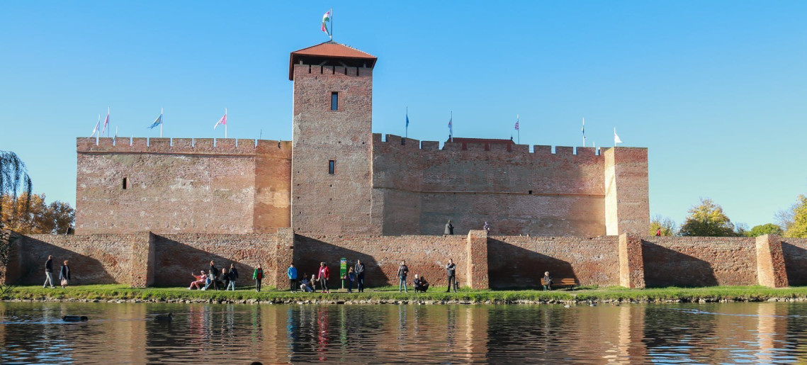 Cetatea Gyula
