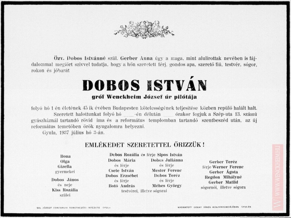 Dobos_Istvan_Erdos_Paltol_01_vizjel.jpg