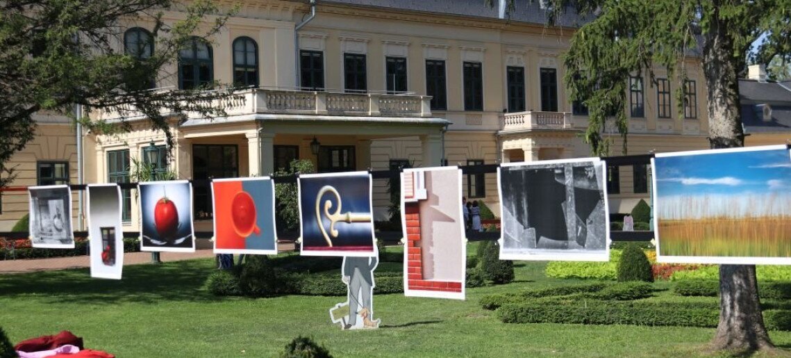 Egynapos fotós meglepetés