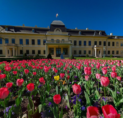 Éld át a májust Gyulán!