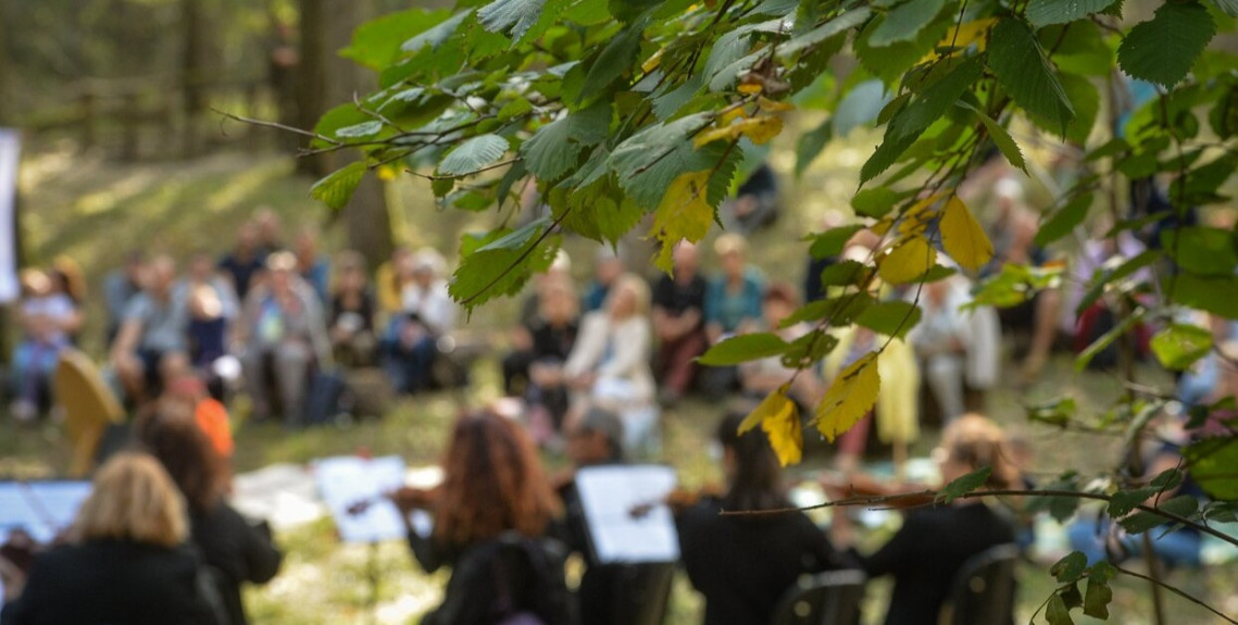 Erdei koncert_Gyula-Városerdő