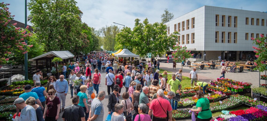 Események forgataga