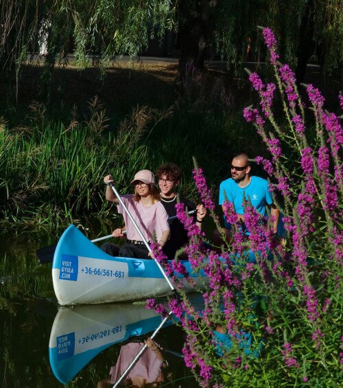 Evezés az Ó-Fehér-Körösön