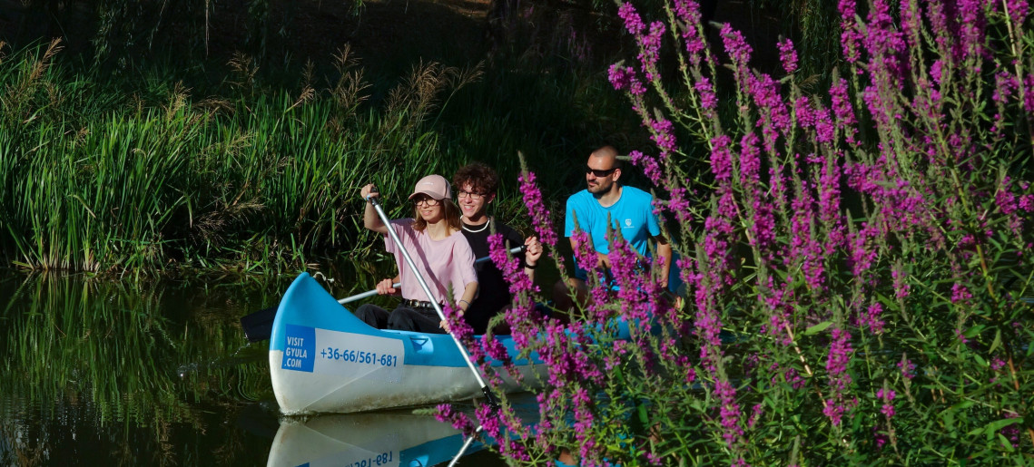 Evezés az Ó-Fehér-Körösön