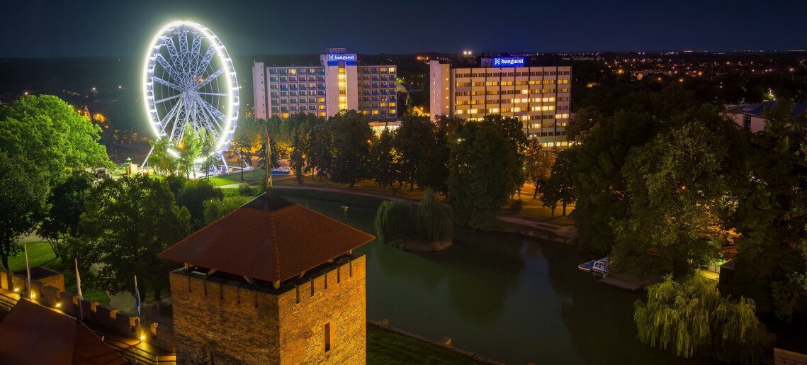 Ferris Wheel in the Castle Garden
