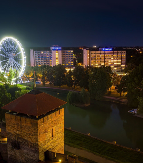 Ferris Wheel in the Castle Garden