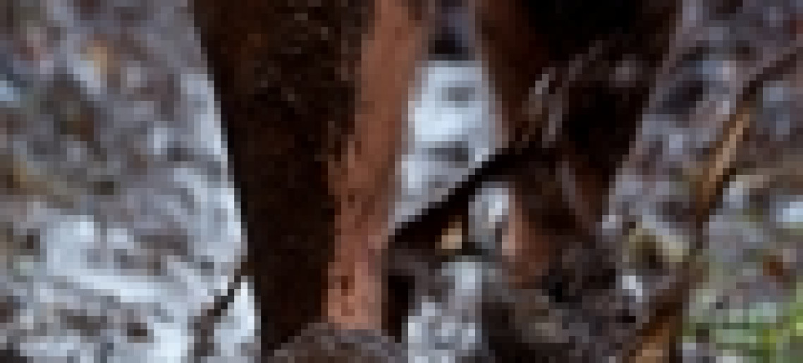 Fighters' Run Pósteleken