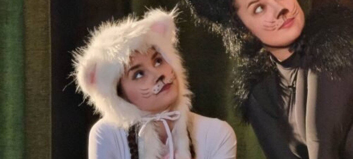 Frakk, a macskák réme