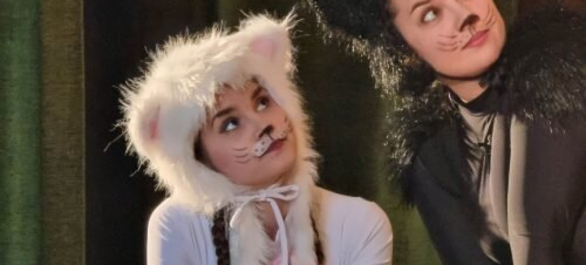 Frakk, a macskák réme