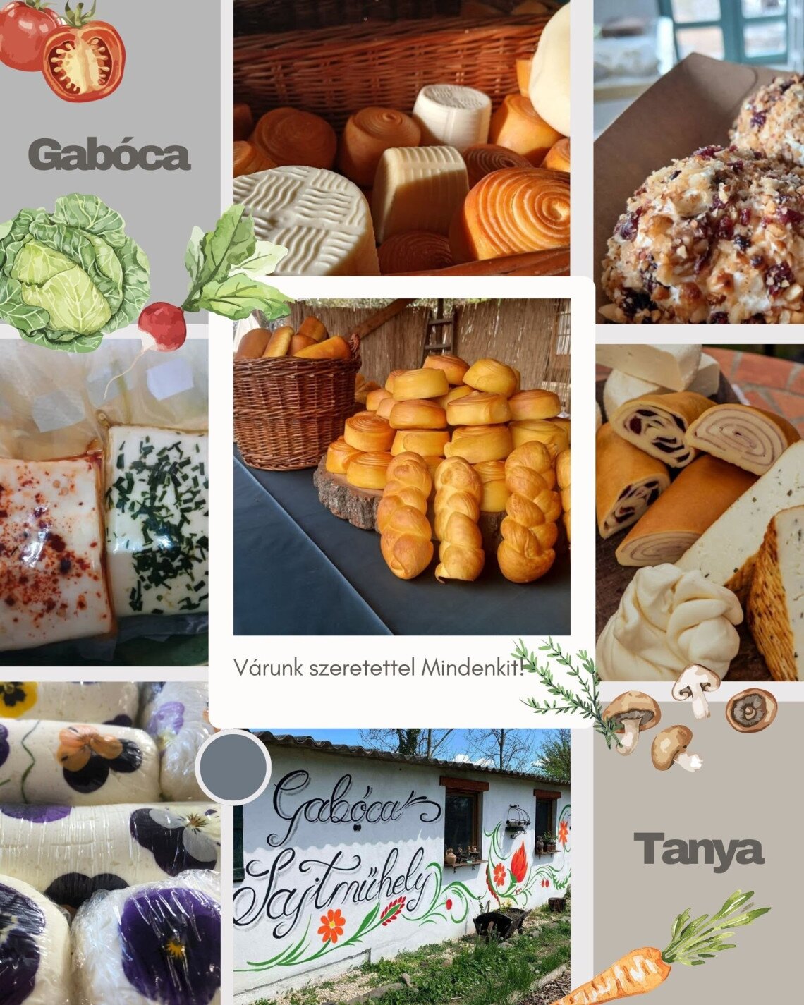 Gabóca (1)