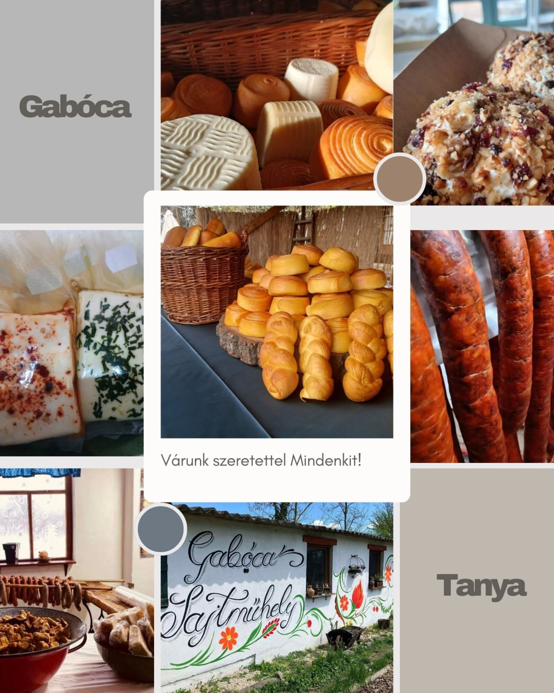 Gabóca
