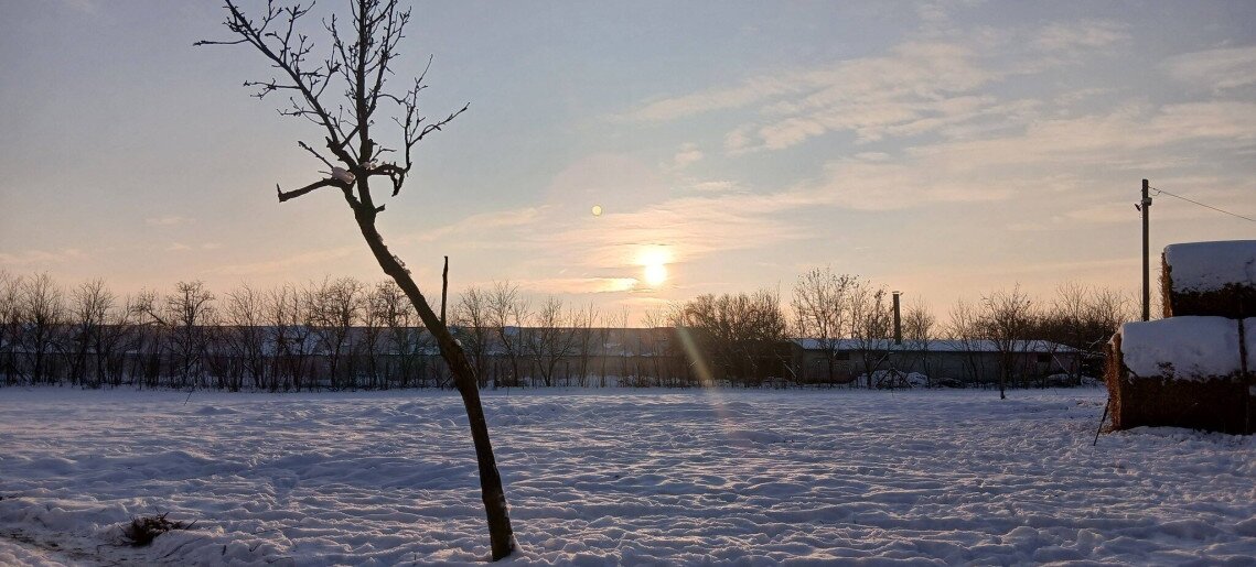 Gabóca sajtműhely: vásár a tanyán