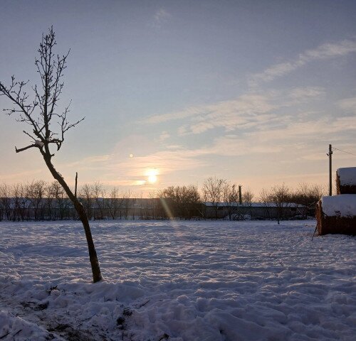 Gabóca sajtműhely: vásár a tanyán