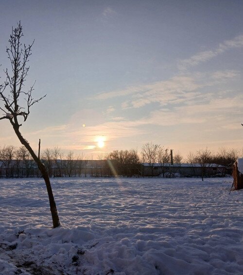 Gabóca sajtműhely: vásár a tanyán