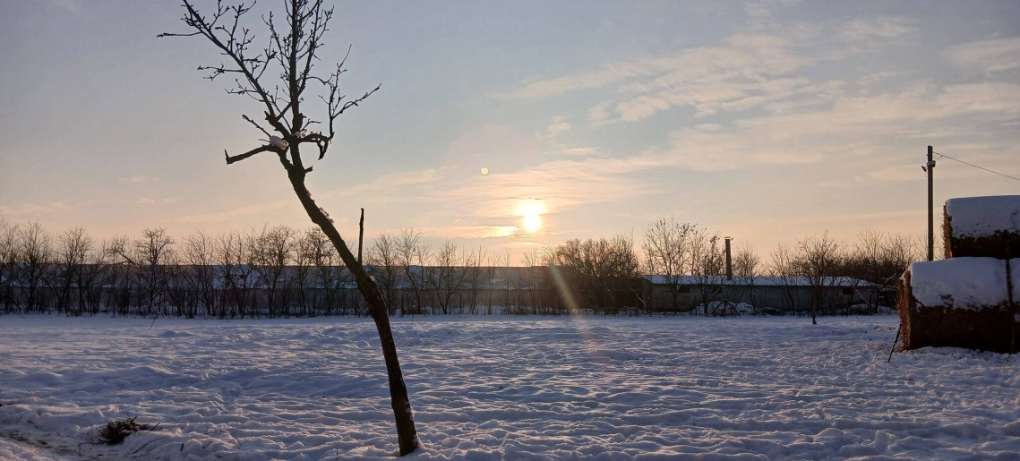 Gabóca sajtműhely: vásár a tanyán