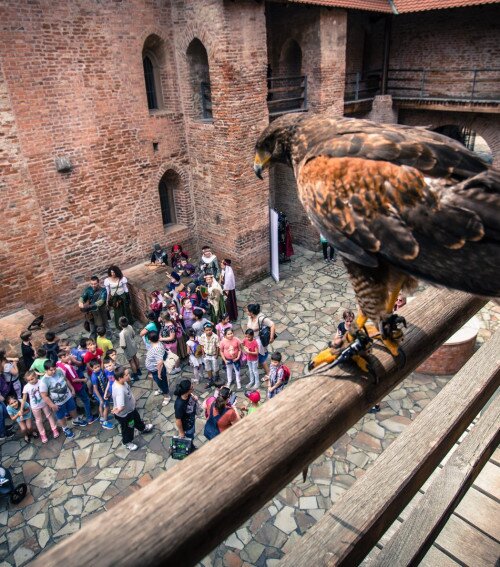 Garantált programok a Gyulai Várban