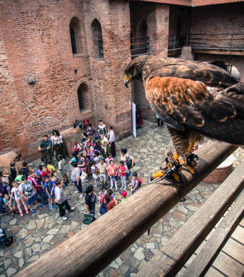 Garantált programok a Gyulai Várban