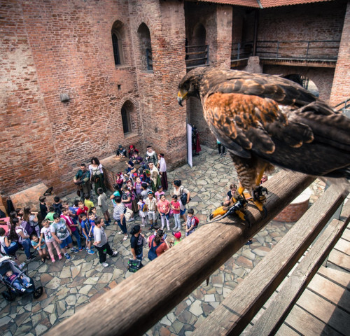 Garantált programok a Gyulai Várban