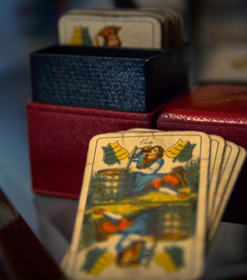 Grófi passziók – Az Almásy-kastély kincsei