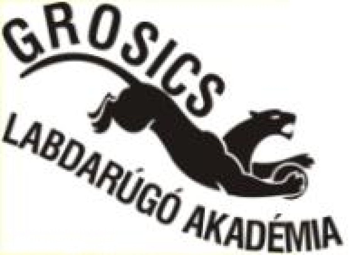 grosicsakademia.JPG