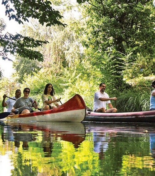 Gyula, a vizek városa
