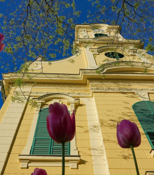 Gyula Calvinist Church