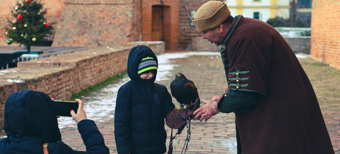 Gyulai Vár: Solymászbemutató